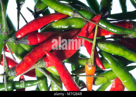 The Chilli Pepper, often called Chili Pepper, Chile Pepper or Chilli, is a fruit of the Capsicum family. They are widely used to spice food dishes.