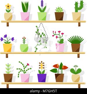 Indoor potted plants isolated on white. Vector set green plant in pot, illustration of flowerpot bloom Stock Vector