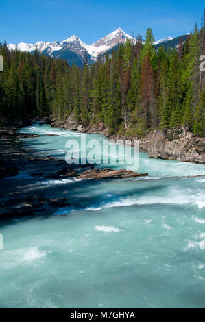Kicking Horse River, Yoho National Park, British Columbia, Canada Stock Photo