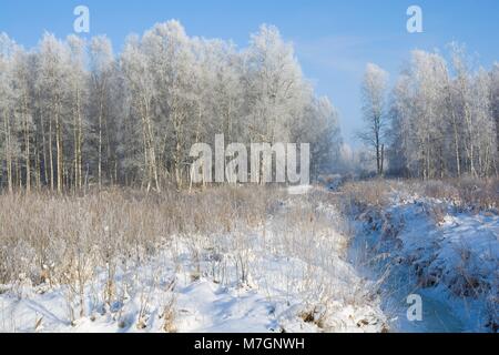 Narrow frozen creek flowing through wild area of Mazury District in Wegorzewo, Poland Stock Photo