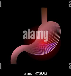 Stomach with a point of pain. Stylized transition from a real organ to an X-ray effect. Medical illustration of stomach diseases. 10 eps Stock Vector