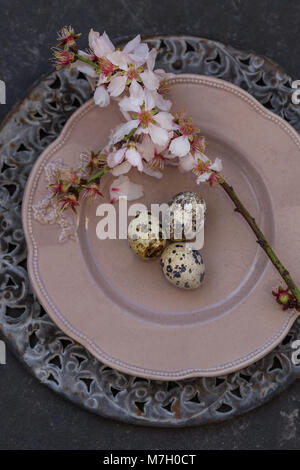 Easter table setting in black, gray and pink colors with blossoming almond branch Stock Photo