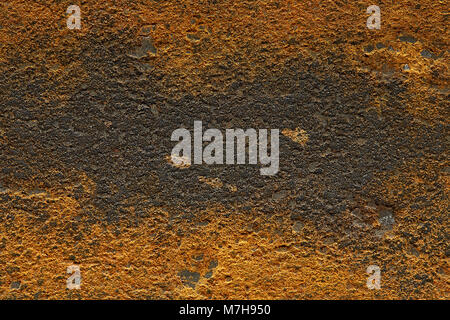 Highly detailed orange rough grunge texture background, macro, close-up, shallow depth of field, some copy space for your text. Abstract texture. Stock Photo