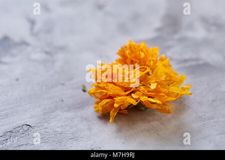 Motley grass on light textured background, close-up, shallow depth of field, selective focus, macro. Alternative medicine. Spa natural concept. Dayspa Stock Photo