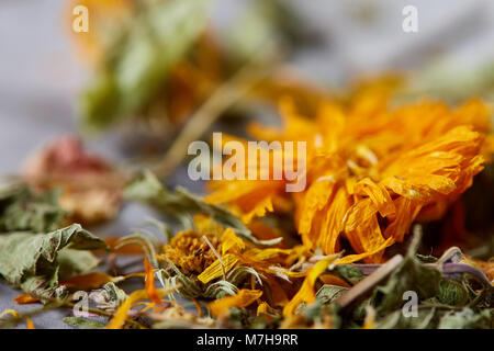 Motley grass on light textured background, close-up, shallow depth of field, selective focus, macro. Alternative medicine. Spa natural concept. Dayspa Stock Photo