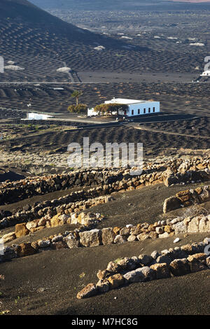 Finca in La Geria, surrounded by vineyards, Lanzarote, Canary Islands, Spain Stock Photo