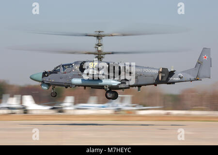 Ka-52 Alligator attack helicopter of the Russian Air Force landing. Stock Photo