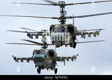 Ka-52 Alligator attack helicopters of Russian Air Force. Stock Photo