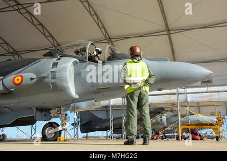 Spanish Navy AV-8B Harrier at Rota Naval Air Station, Spain. Stock Photo