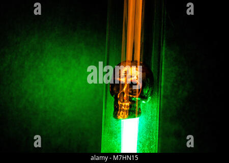 Metal skull placed in flask and illuminated by green light on dark background. Super noisy and sharp. Alchemical, magical and experimental atmosphere Stock Photo