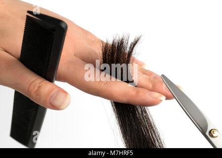 the master with comb and scissors in hands cuts off the client ends, photo close-up, on white background Stock Photo