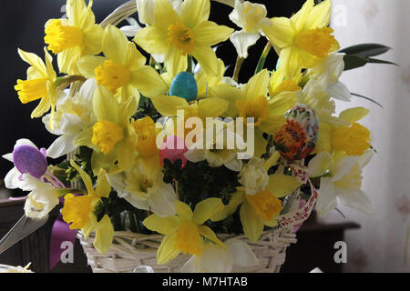 Easter decoration with eggs. Spring bouquet of blossoming daffodils. Stock Photo