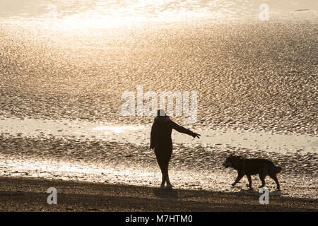 A dog walker enjoying a peaceful stroll along the sands below Morecambe seafront at low tide in the afternoon. Morecambe Lancashire England UK GB Stock Photo