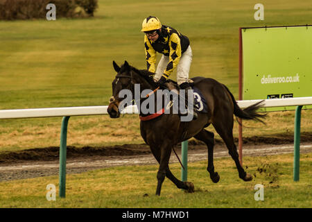 Hereford, Herefordshire, UK. 10th March, 2018. Misty Mai finishes in first place during the  2:15pm race  at Hereford racecourse during Ladies Day in Hereford on 10th March 2018. Credit: Jim Wood/Alamy Live News Stock Photo