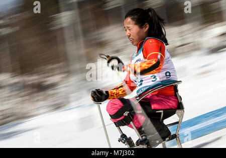 Pyeongchang, South Korea. 11th Mar, 2018. China's Jin Yawei competes during Women's 12km Sitting Cross-Country Skiing of the 2018 PyeongChang Winter Paralympic Games at the Alpensia Biathlon Centre in Pyeongchang, South Korea, March 11, 2018. Credit: Xia Yifang/Xinhua/Alamy Live News Stock Photo