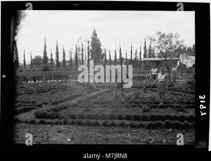 Nahalal. Girls' Agricultural Training School. The flower garden LOC matpc.15221 Stock Photo