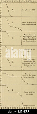 Beiträge zur chemischen Physiologie und Pathologie; zeitschrift für die gesamte Biochemie (1904) (20174833970) Stock Photo