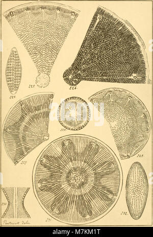 This geological study, published in German, includes analyses of ...