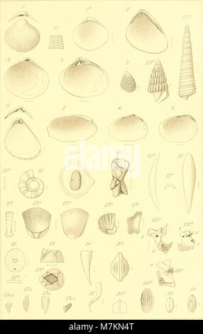 Bericht ©ber die Senckenbergische Naturforschende Gesellschaft in Frankfurt am Main (1886-1887) (20339202276) Stock Photo