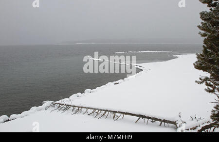 Yellowstone Lake  Bridge Bay area on Yellowstone Lake; Stock Photo