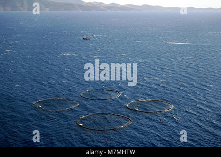 Round cages for fish farming on island Brac in Croatia Stock Photo