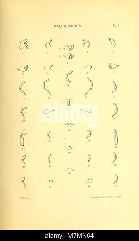 Annales de la Societe Linnéenne de Lyon (1886) (18014648309) Stock Photo