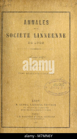 Archéologie - Annales de la société archéologique de Namur - TOME