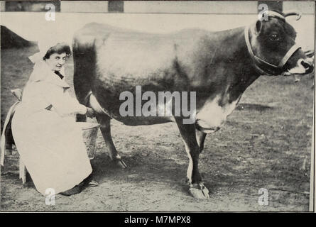 Annual report of the Illinois State Dairymen's Association' (19358366592) Stock Photo