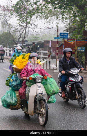A woman carries heavy bags of fruit, vegetables and flowers on the back of her scooter in Hue, Vietnam. Stock Photo