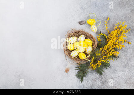 Quails eggs in nest and yellow flowers. Easter greeting card. Top view with space for your greetings Stock Photo