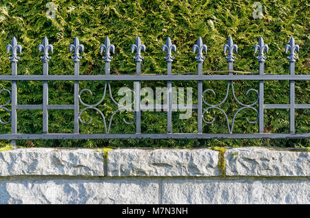 Fleur De Lis In A Garden Stock Photo 161159360 Alamy