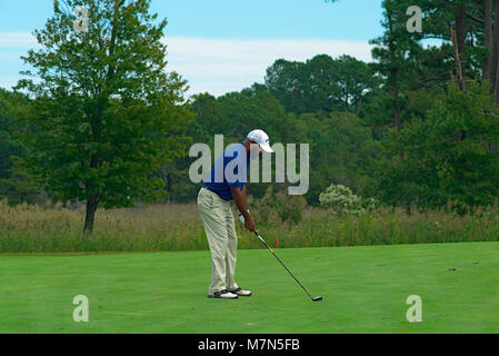 Golfer making shot on course Stock Photo