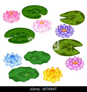 Natural set of stylized lotus flowers and leaves. Objects for decoration, design on advertising booklets, banners, flayers Stock Vector