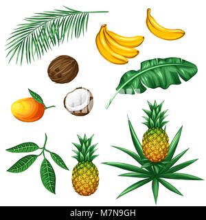 Set of tropical fruits and leaves. Objects for decoration, design on advertising booklets, packaging, menu, flayers Stock Vector