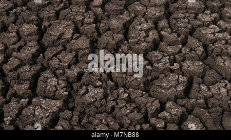 Mud Soil, Desiccation Cracks, Detail Stock Photo - Alamy