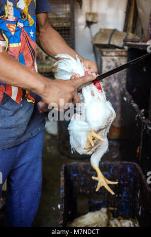 MUMBAI, INDIA - JANUARY 2015: Street salesman slaughtering chicken at meat stand. Stock Photo
