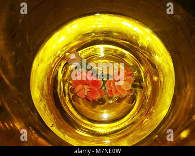 Colorful flowers in glass beaker Stock Photo