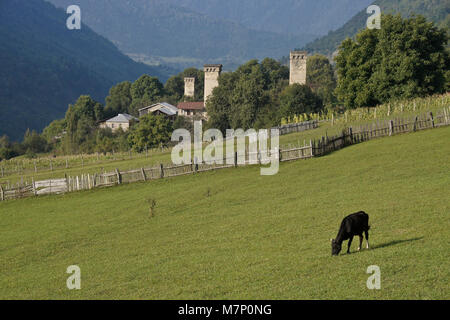 Historic tower houses stand amid more modern homes on a hillside in Mestia, Svaneti region of the Caucasus Mountains, Georgia Stock Photo