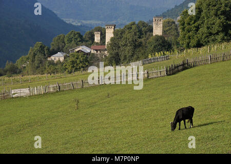 Historic tower houses stand amid more modern homes on a hillside in Mestia, Svaneti region of the Caucasus Mountains, Georgia Stock Photo