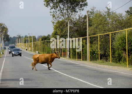 Above-ground natural gas pipes, painted yellow and installed during Soviet times, run alongside a road through Kheta, Georgia Stock Photo