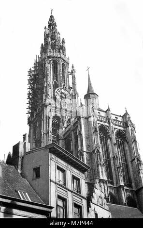 1947 black and white of Onze-Lieve-Vrouwe Cathedral in Antwerp probably as seen from Oude Koornmarkt or Stock Photo