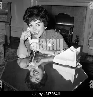 Film star Joan Collins flew into London today from Montego Bay, she is here to spend a few days with her family after which she will fly on to America. She is pictured at her parents flat in Regent's Park.  25th November 1958. Stock Photo