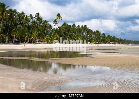 Cloudy day in Praia dos Carneiros beach - Pernambuco, Brazil Stock Photo