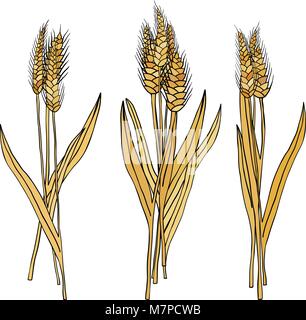 vector set of cartoon doodle wheat sheaves Stock Vector