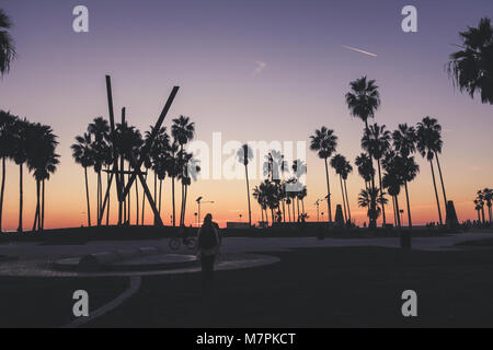 Venice Beach Sunset, Los Angeles - Palm Tree Silhouette Stock Photo