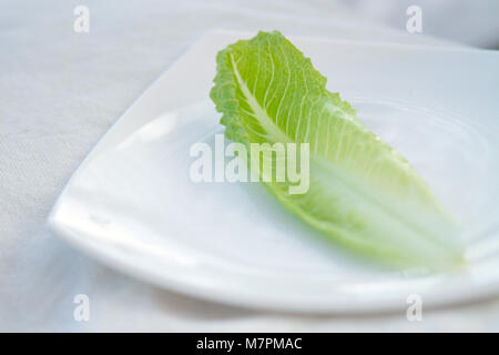 Leaf lettuce fresh organic raw on white dish, vegan healty raw food. Stock Photo