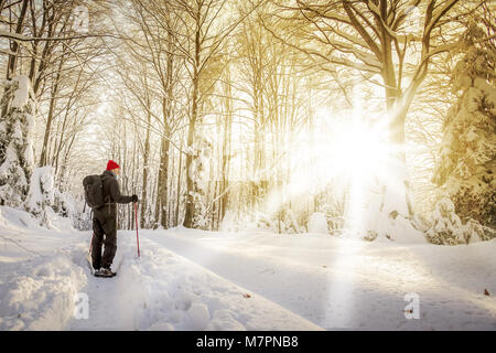 Hiker standing and looking at the sun in the forest on the hill covered with fresh deep snow. Stock Photo