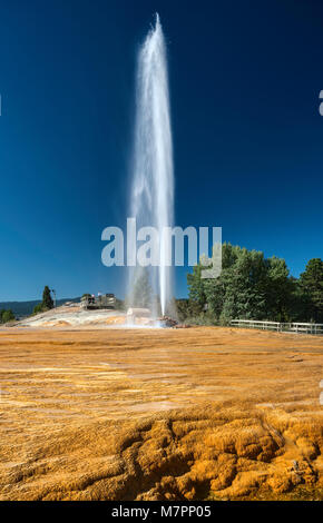 The Geyser, erupting every hour on the hour in Soda Springs, Oregon Trail Bear Lake Scenic Byway, Idaho, USA Stock Photo