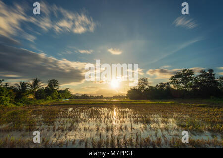 Long exposure landscape with clouds moving rice field and sunset. Stock Photo