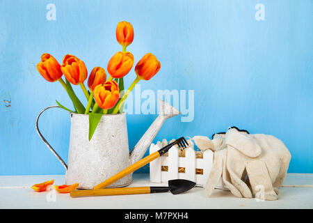 Garden tools and bouquet of tulips on the table. Getting ready for planting vegetables. Stock Photo